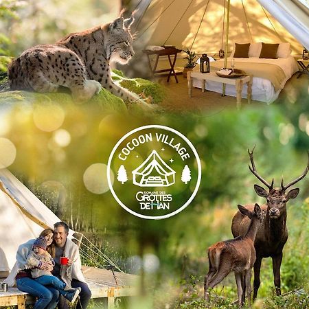 Cocoon Village - Glamping - Domaine Des Grottes De Han Rochefort Exterior foto