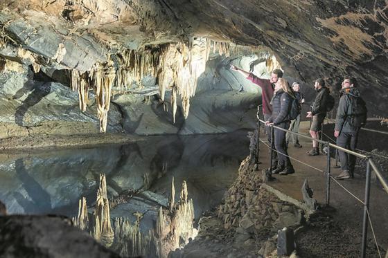 Cocoon Village - Glamping - Domaine Des Grottes De Han Rochefort Exterior foto